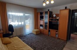 Apartament 2 camere, zona Micro 16