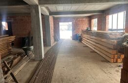 Casă la roșu, 119 mp + teren 1643 mp, zonă Halmeu