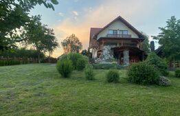 Vilă deosebită cu 30 ari teren și facilități complete – Viile Satu Mare