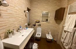 Vilă deosebită cu 30 ari teren și facilități complete – Viile Satu Mare