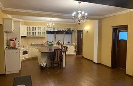 Vilă deosebită cu 30 ari teren și facilități complete – Viile Satu Mare