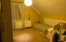 Vilă deosebită cu 30 ari teren și facilități complete – Viile Satu Mare