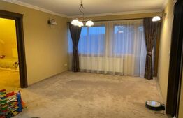 Vilă deosebită cu 30 ari teren și facilități complete – Viile Satu Mare