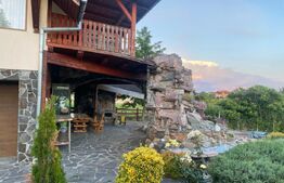 Vilă deosebită cu 30 ari teren și facilități complete – Viile Satu Mare