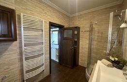 Vilă deosebită cu 30 ari teren și facilități complete – Viile Satu Mare