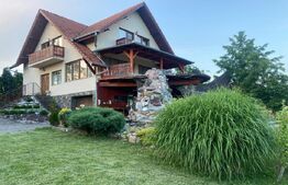 Vilă deosebită cu 30 ari teren și facilități complete – Viile Satu Mare