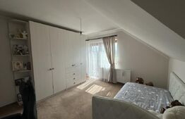 Vilă deosebită cu 30 ari teren și facilități complete – Viile Satu Mare