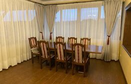 Vilă deosebită cu 30 ari teren și facilități complete – Viile Satu Mare