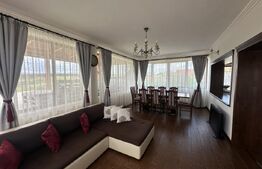 Vilă deosebită cu 30 ari teren și facilități complete – Viile Satu Mare