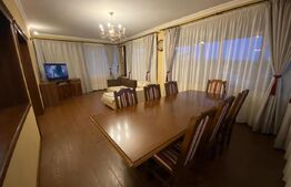 Vilă deosebită cu 30 ari teren și facilități complete – Viile Satu Mare