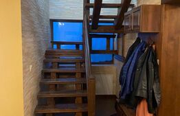 Vilă deosebită cu 30 ari teren și facilități complete – Viile Satu Mare