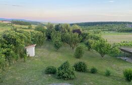 Vilă deosebită cu 30 ari teren și facilități complete – Viile Satu Mare