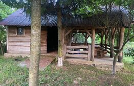 Vilă deosebită cu 30 ari teren și facilități complete – Viile Satu Mare