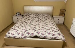 Vilă deosebită cu 30 ari teren și facilități complete – Viile Satu Mare