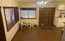 Vilă deosebită cu 30 ari teren și facilități complete – Viile Satu Mare