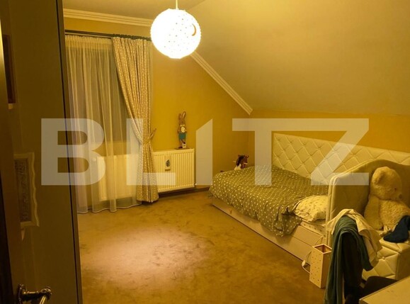 Casa de vânzare 4 camere Viile Satu Mare - 191499CV | BLITZ Satu Mare | Poza18