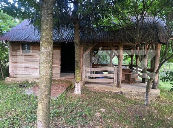 Casa de vânzare 4 camere Viile Satu Mare - 191499CV | BLITZ Satu Mare | Poza9