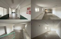 Hală de închiriat, 600 mp– zonă Lucian Blaga