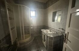 Casă spațioasă de vânzare în Păulești – oportunitate excelentă de investiție