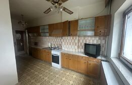 Casă spațioasă de vânzare în Păulești – oportunitate excelentă de investiție