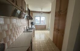 Casă spațioasă de vânzare în Păulești – oportunitate excelentă de investiție