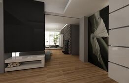 PentHouse 3 camere, 180 mp, zona Central