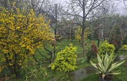 Casa 3 camere 133 mp; Teren - 1432 mp. Livada