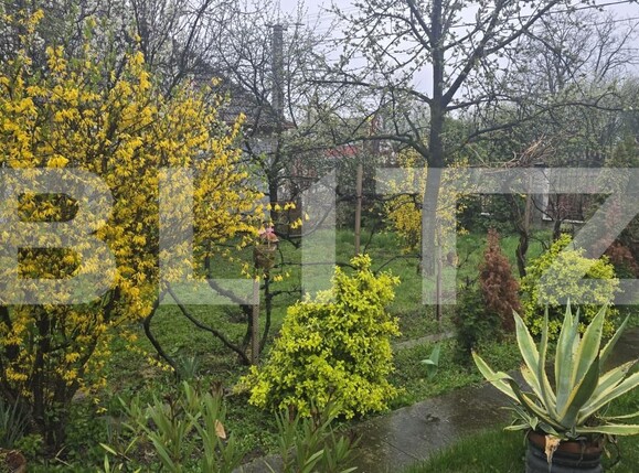 Casa de vânzare 3 camere Livada - 191718CV | BLITZ Satu Mare | Poza12