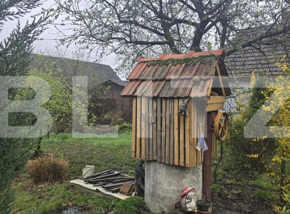Casa de vânzare 3 camere Livada - 191718CV | BLITZ Satu Mare | Poza9