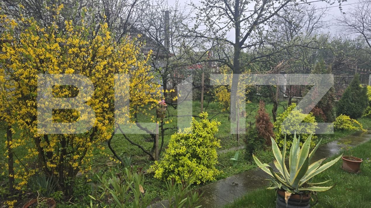 Casa de vânzare 3 camere Livada - 191718CV | BLITZ Satu Mare | Poza12