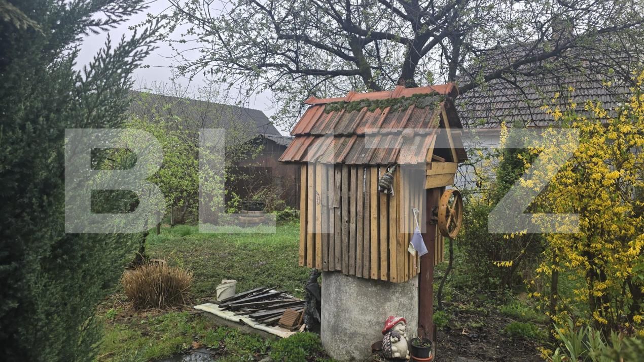 Casa de vânzare 3 camere Livada - 191718CV | BLITZ Satu Mare | Poza9