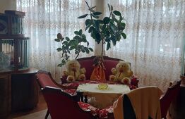 Casă din caramida cu grădină, 120 mp, zonă Micro 17