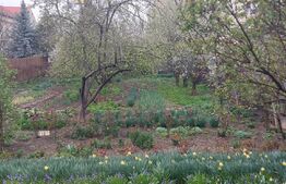 Casă din caramida cu grădină, 120 mp, zonă Micro 17