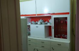 Casă din caramida cu grădină, 120 mp, zonă Micro 17