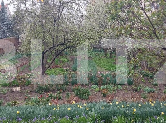 Casa de vânzare 4 camere Micro 17 - 191749CV | BLITZ Satu Mare | Poza12