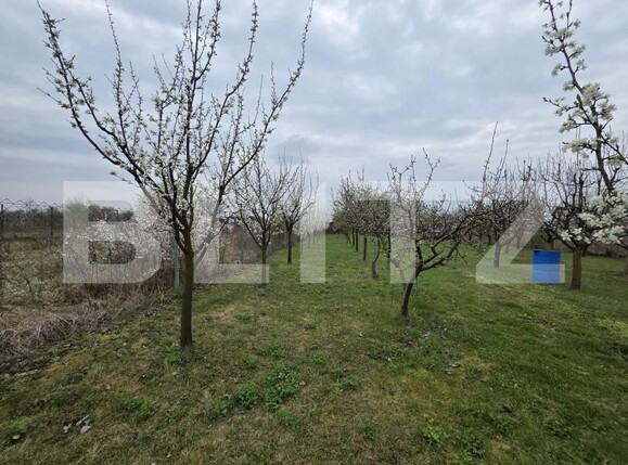 Teren de vânzare Micro 17 - 191757TV | BLITZ Satu Mare | Poza1