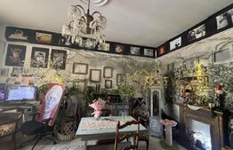 Doua apartamente de vanzare, 159 mp, zona Ultracentral