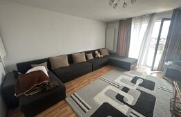 Casă Duplex în Cionchești cu 293mp, Teren Generos, Zonă Liniștită