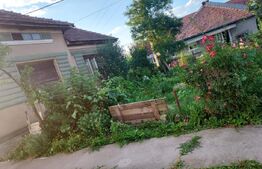 Casă cu teren 28,67 ari Botiz