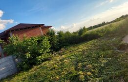 Casă cu teren 28,67 ari Botiz