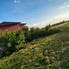 Casa de vânzare 2 camere Botiz - 192249CV - Poza 1 din 5 | BLITZ Satu Mare | Poza2