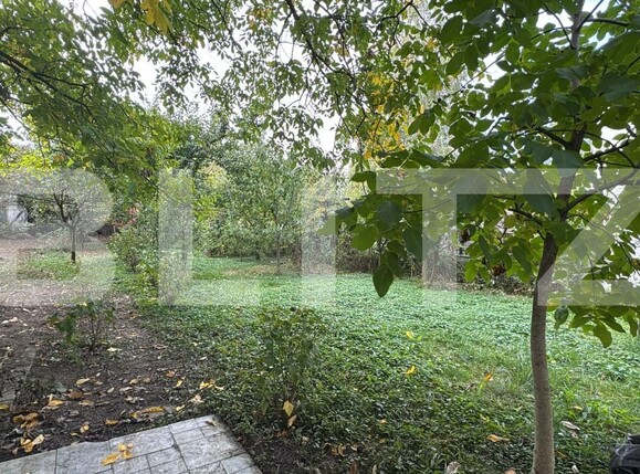 Casa de vânzare 5 camere Titulescu - 192305CV | BLITZ Satu Mare | Poza11