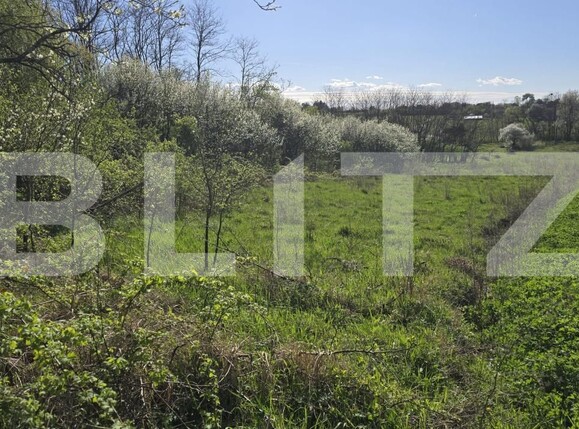 Casa de vânzare 3 camere Sud-Vest - 192371CV | BLITZ Satu Mare | Poza7