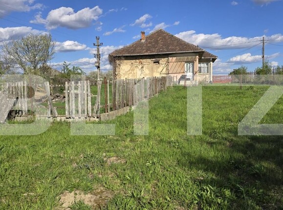 Casa de vânzare 3 camere Sud-Vest - 192371CV | BLITZ Satu Mare | Poza6