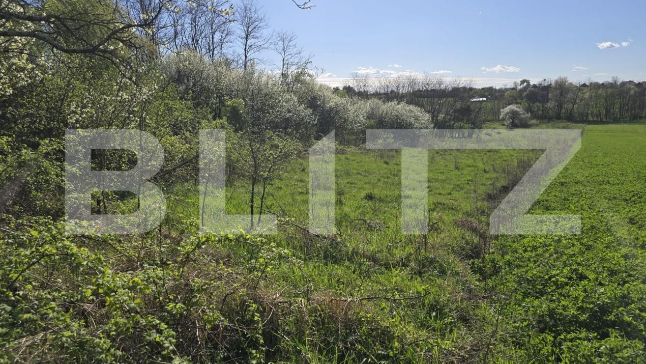 Casa de vânzare 3 camere Sud-Vest - 192371CV | BLITZ Satu Mare | Poza7