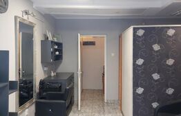 Garsonieră la parter, 28.50 mp, zona Burdea 