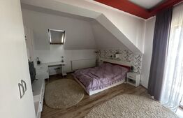 Casă spațioasă cu etaj, teren generos și livadă, Zona Paulesti
