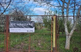 Teren extravilan de vanzare, 2500 mp, zona strada Careiului