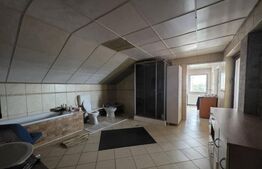 Casa P+M de vanzare, 215 mp, zona Lucian Blaga Satu Mare