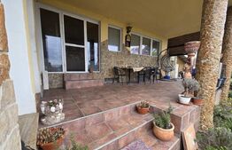 Casa P+M de vanzare, 215 mp, zona Lucian Blaga Satu Mare
